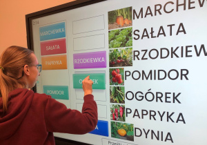 Piramida zdrowia