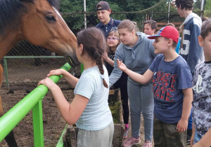 WYCIECZKA DO KONARZEWA